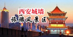 黑屄持写中国陕西-西安城墙旅游风景区